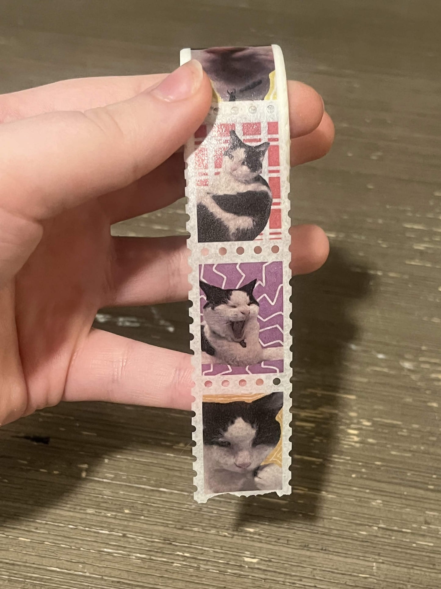 My Cats - Dahlia Stamp Washi Tape